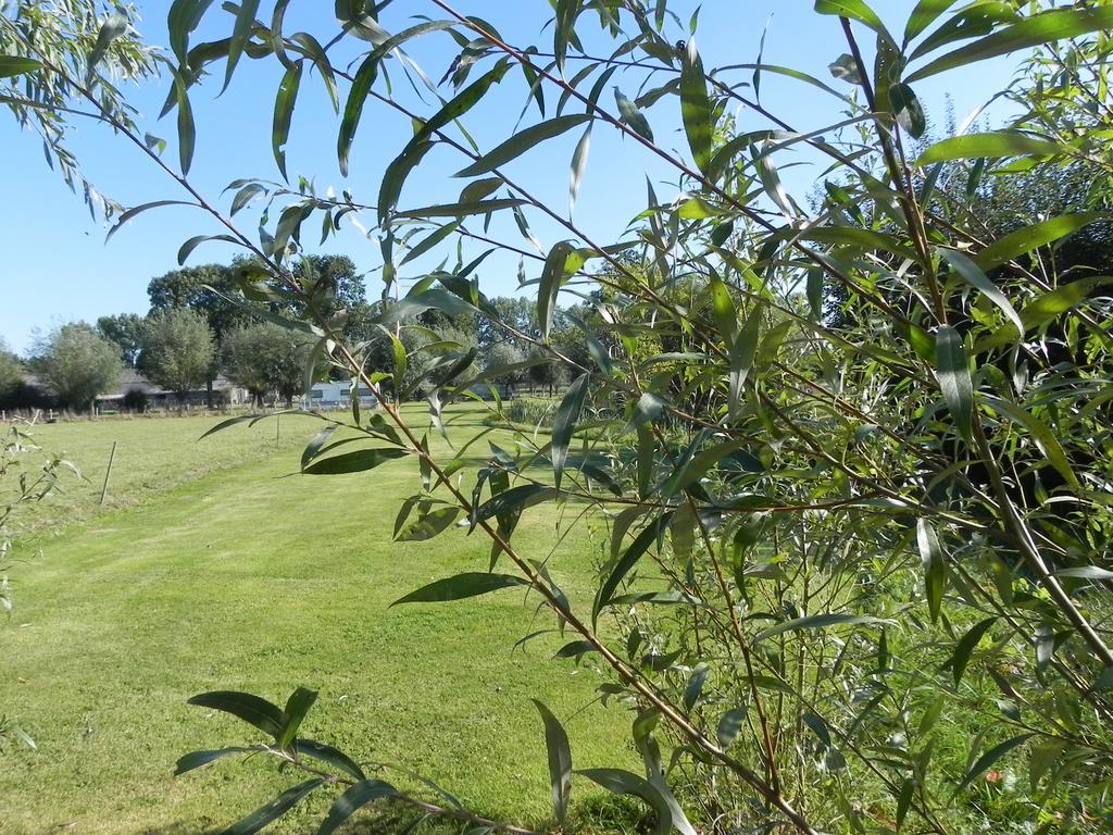 Biezenmortel Hoeve De Mertel מראה חיצוני תמונה